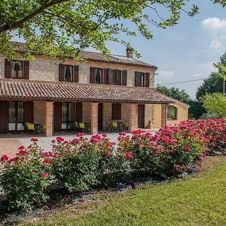Agriturismo La Vecchia Fonte Castelbellino Dış mekan fotoğraf