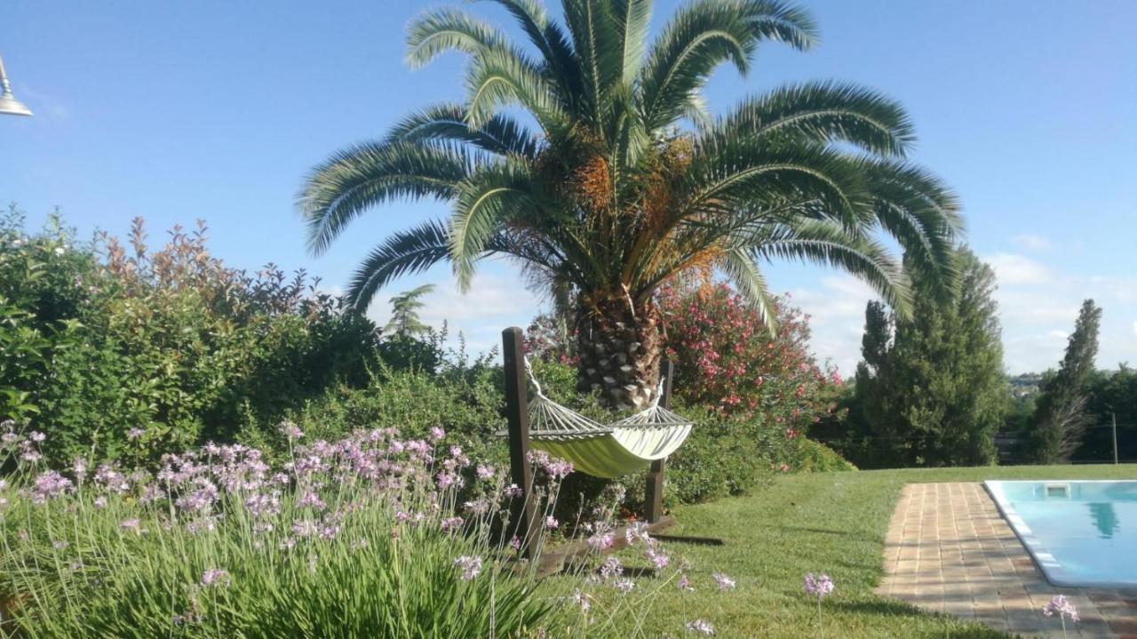 Agriturismo La Vecchia Fonte Castelbellino Dış mekan fotoğraf