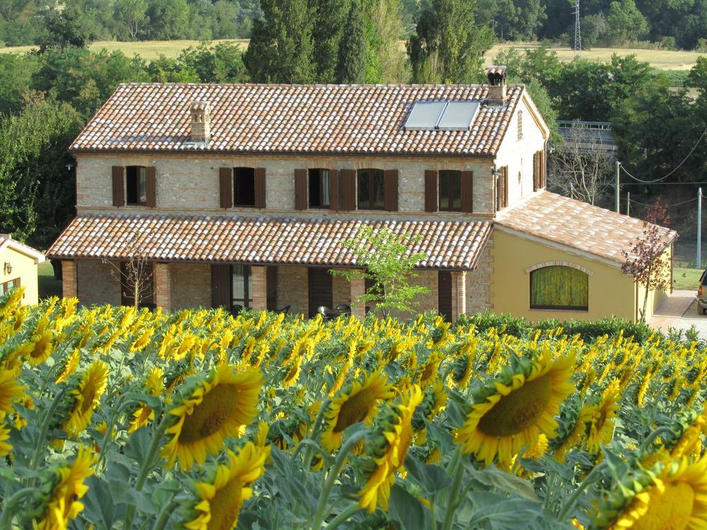 Agriturismo La Vecchia Fonte Konuk evi Castelbellino Dış mekan fotoğraf