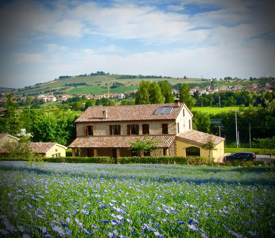 Agriturismo La Vecchia Fonte Castelbellino Dış mekan fotoğraf